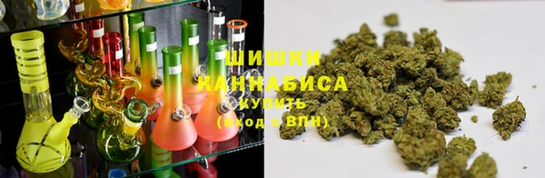 дживик Магас