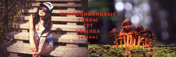 дживик Магас