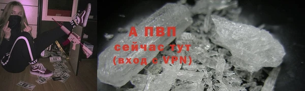 шишки Мегион