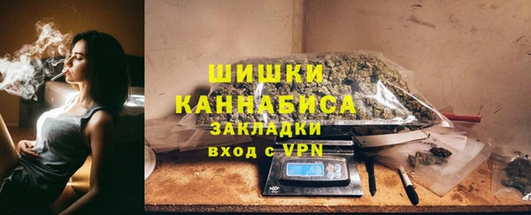 гашик Майский