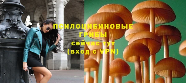 MDMA Premium VHQ Медвежьегорск