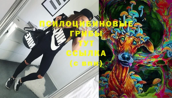 дживик Магас