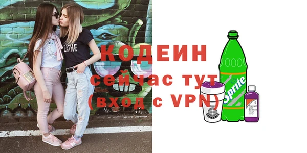 гашик Майский