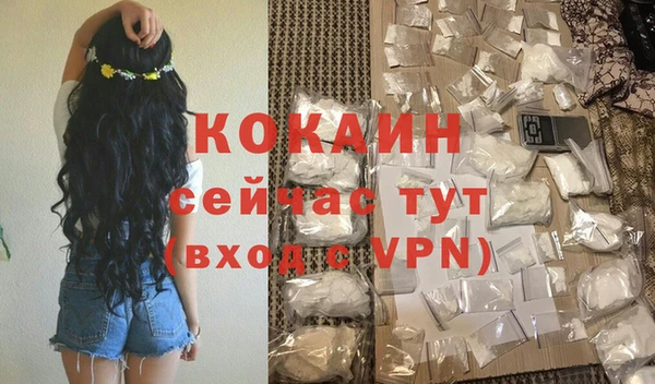 гашик Майский