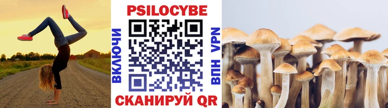 Купить Бердск Псилоцибиновые грибы ЛСД