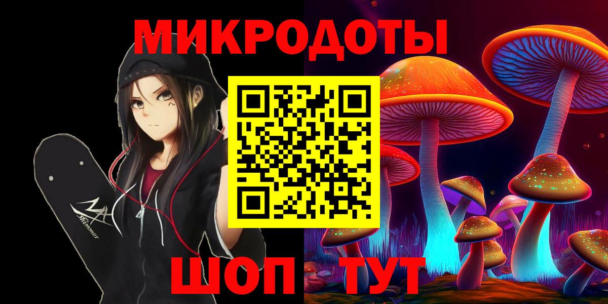 Галлюциногенные грибы Psilocybe Бердск