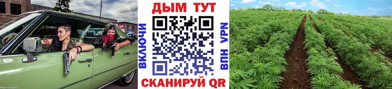 Каннабис THC 21%  Купить где  Бердск 